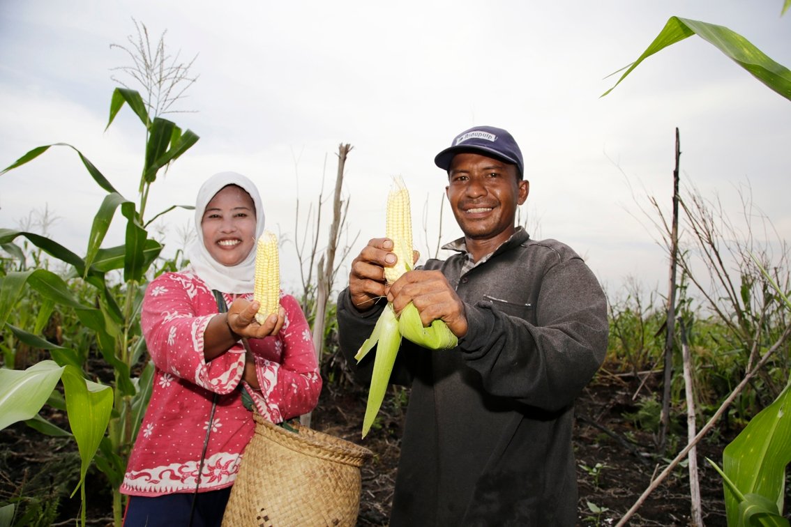 Farmers in Binjai, Meranti