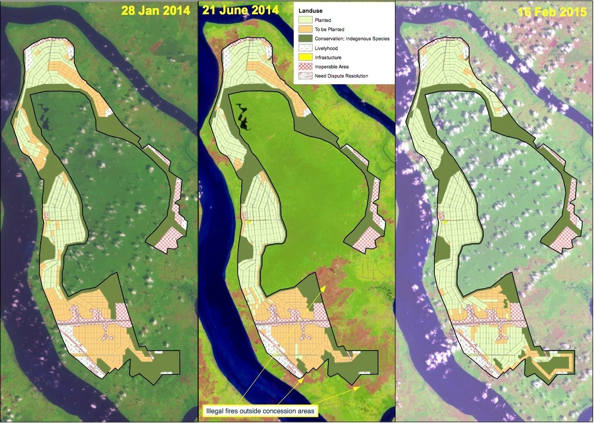 Pulau Padang Landsat Image