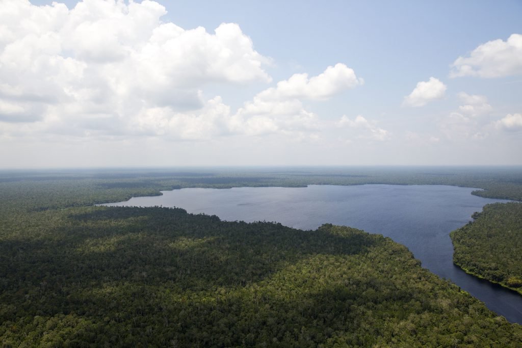 エイプリルダイアログ リアウ州の生態系復元プロジェクト