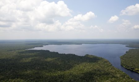 Restorasi Ekosistem Riau Project, APRIL Conservation Effort in Riau