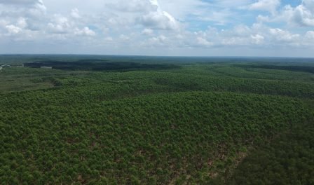 Asia Pacific Resources International Holdings Limited